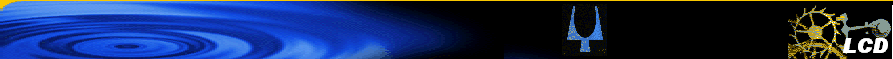 LCD