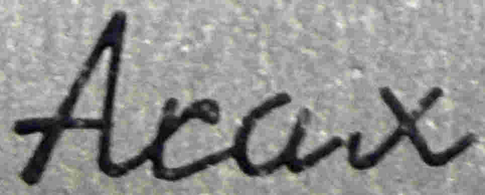 AraxLogo