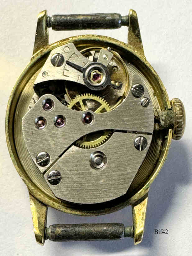 Bif42Damen681I