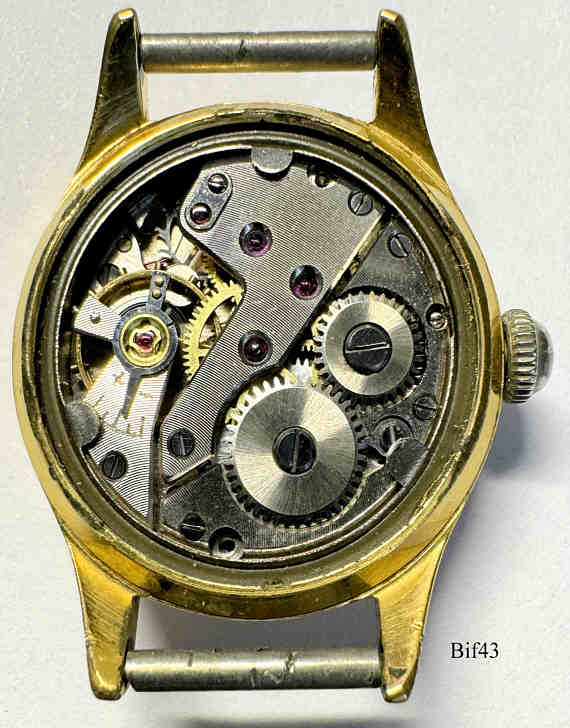 Bif43Damen851I