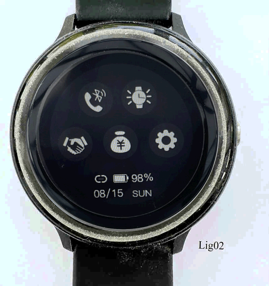 Lig02Ligel29Anim