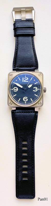 Pan01ParnisT
