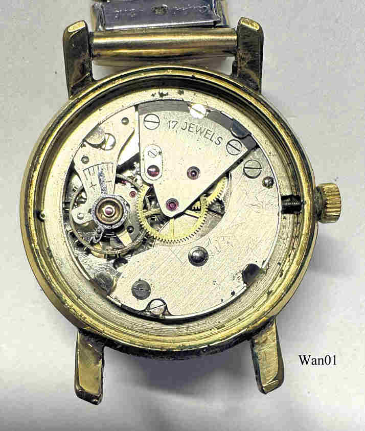 Wan01HerrenHAI