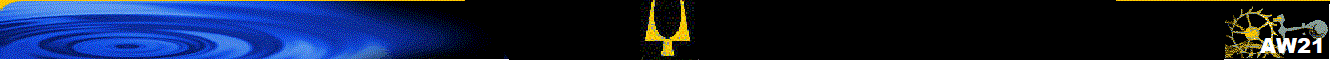 AW21