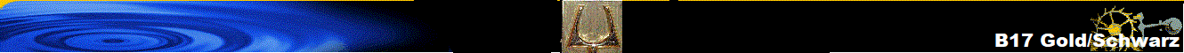B17 Gold/Schwarz