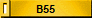 B55