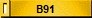 B91