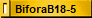 BiforaB18-5