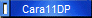 Cara11DP