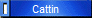Cattin