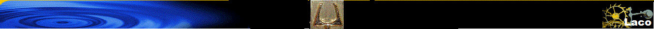 Laco