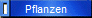 Pflanzen