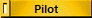 Pilot