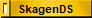 SkagenDS