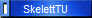 SkelettTU